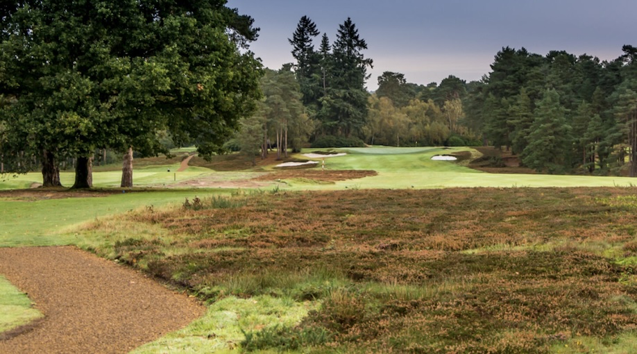 Photo of Liphook Golf Club